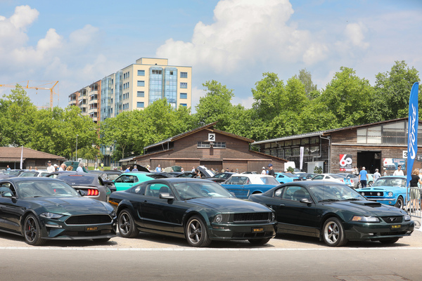 Bullitt-Sondermodelle der Jahre 2001, 2008 und 2019 - 8. Mustang & Shelby Meeting 2024
