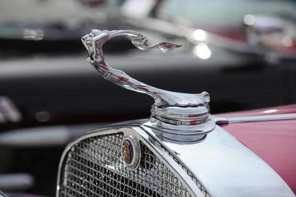 Cadillac 370A V12 Convertible Coupé (1931) - als Lot 44 an der Versteigerung der Oldtimer Galerie auf dem Dolder am 16. Juni 2018