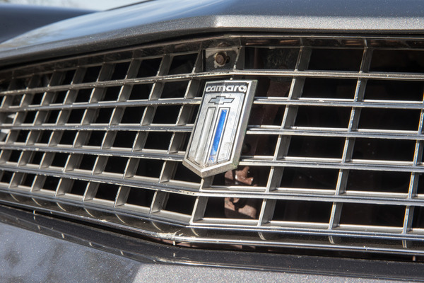 Chevrolet Camaro "Berlinetta" (1981) - Chevrolet-Zeichen und Camaro-Schriftzug
