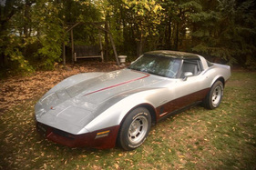 Chevrolet Corvette C3 von 1982 - angeboten in der Catawiki Oldtimer-Versteigerung vom Dezember 2021