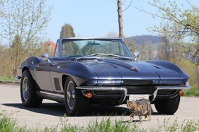 Chevrolet Corvette Sting Ray (1964) - nur die Katze interessiert sich nicht für den schönen Amerikaner Chevrolet Corvette Sting Ray (1964) - nur die Katze interessiert sich nicht für den schönen Amerikaner