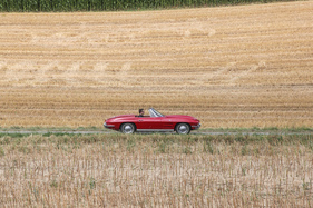 Chevrolet Corvette Sting Ray Convertible (1964) – Stoppelfelder schaffen auch in der Schweiz die Atmosphäre des "Corn Belt"