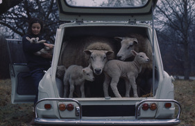 Citroën Ami 6 Break (1964) - Tierärztin oder Tierfreundin Citroën Ami 6 Break (1964) - Tierärztin oder Tierfreundin