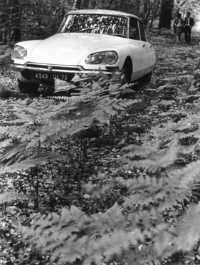 Citroën DS (1971) - für Werbeaufnahmen stellte man den DS gerne in die Botanik