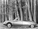 Citroën DS Décapotable (1962) - für Naturverbundene