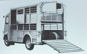 Citroën HY als Viehtransporter Citroën HY als Viehtransporter