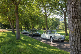 Citroën ID 19 (1967) - zusamen mit einem DS 21 Break und einem SM