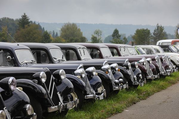 Citroën Légère / Traction Avant - in Reih und Glied - FNA Jahrestreffen 2025