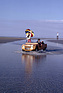 Bild: Citroën Méhari (1971) - die Freizeit-Ente