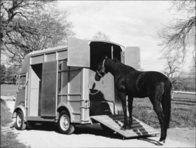 Citroën Typ H (1968) - als Pferdetransporter (1968)