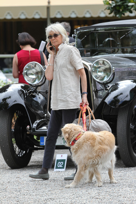 Concorso d'Eleganza Villa d'Este 2015 - Ob sich der Hund für die Autos interessiert?