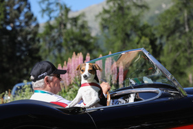 Da braucht man keine Radarsensoren, der Hund passt auf - 29. British Classic Car Meeting St. Moritz 2023