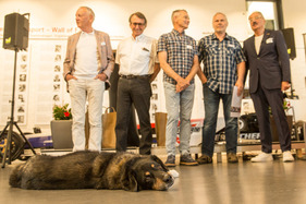 Da kann man so süss sein wie man will: bisher haben es nur Zweibeiner an die "Wall of Fame" geschafft – "autobau" Romanshorn Da kann man so süss sein wie man will: bisher haben es nur Zweibeiner an die "Wall of Fame" geschafft – "autobau" Romanshorn