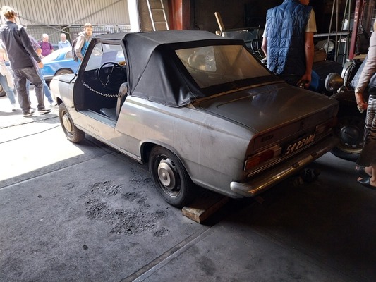 Daf 55 Havas (1970) - Palmen Scheuenfund-Sammlung