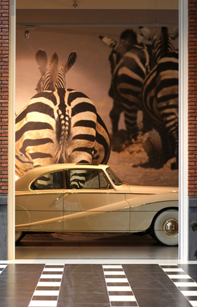 Daimler DK 400 'Golden Zebra' Coupé (1953) - im Louwman Museum in Den Haag