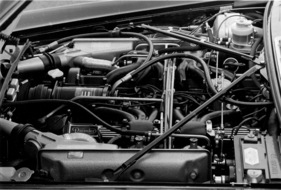 Daimler Double Six (1972) - Blick auf den Zwölfzylinder