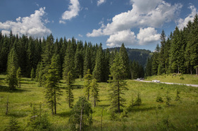 Daimler SP 250 Dart (1959) - Epoche 3 - Ennstal-Classic 2018