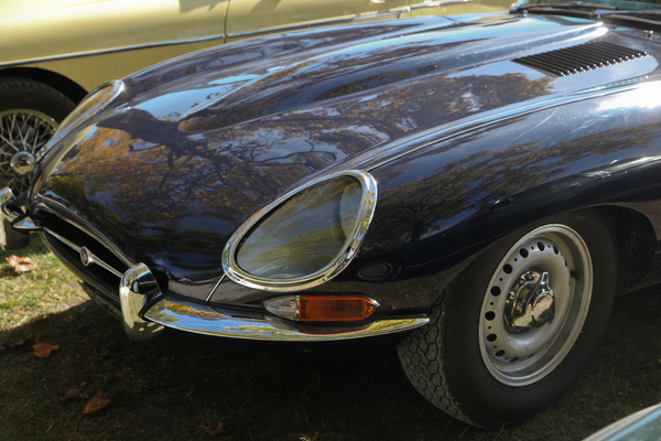 Das Herbstlaub spiegelt sich in der Motorhaube dieses Jaguar E-Type - Swiss Classic British Car Meeting Morges 2017
