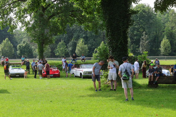 Das Infield mit Autos der Gruppe FABAM - Oldtimer GP Brugger Schachen 2024
