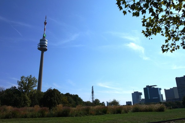 Das Picknick fand am Fusse des imposanten Donauturms im Park statt - Vienna Classic Days 2024