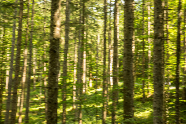 Das Suchbild der Woche …