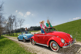 Das VW Käfer Cabriolet der Sechzigerjahre im Frühling