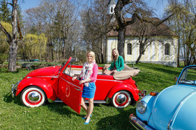 Das VW Käfer Cabriolet der Sechzigerjahre im Frühling