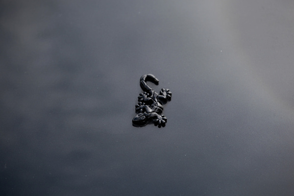 Das Wiesmann-Markenzeichen - Fantastic Plastic 2019