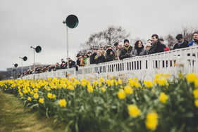 Das interessierte Publikum hinter den Osterglocken - Goodwood Members Meeting 2016