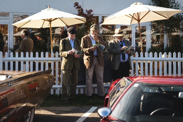 Das interessierte Publikum will es genau wissen - Goodwood Revival 2018