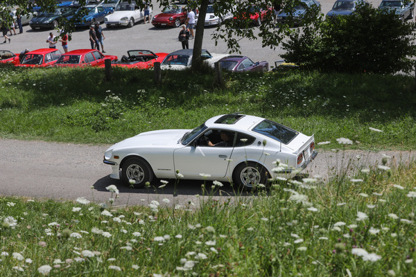 Datsun 240 Z (1974) - Albisbütli Classics Cars & Bikes Juli 2025