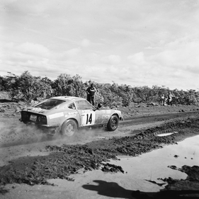 Datsun 240 Z (1974) - Safari Rallye 1974