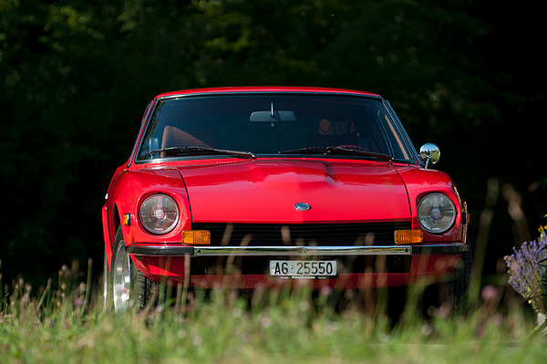 Datsun 240 Z (1974) - dukt sich im Gras