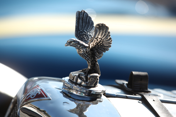 Der Adler als Kühlerfigur auf dem Alvis - British Classic Car Meeting St. Moritz 2015