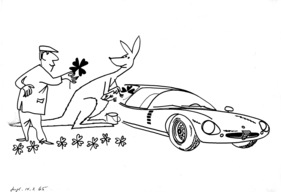 Der Alfa Romeo Canguro und das Känguruh - Genfer Automobilsalon 1965