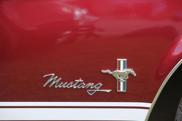 Der Ford Mustang gibt sich sofort zu erkennen - 7. Mustang & Shelby Meeting in Zug am 3. August 2019