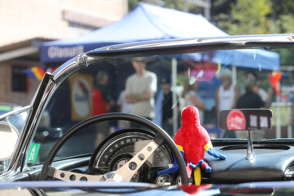 Der Glasurit-Papagei beobachtet die Szene durch die Winschutzscheibe der Corvette C1 - Older Classics August 2024