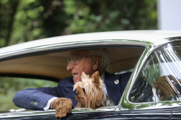 Der Hund hilft natürlich auch beim Rückwärtseinparken - Concorso d'Eleganza Villa d'Este 2023