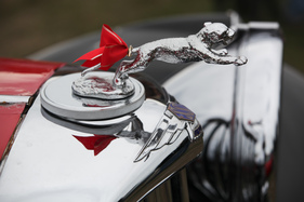 Der Jaguar auf dem SS - OSMT Zug September 2015