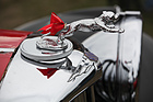 Bild: Der Jaguar auf dem SS - OSMT Zug September 2015