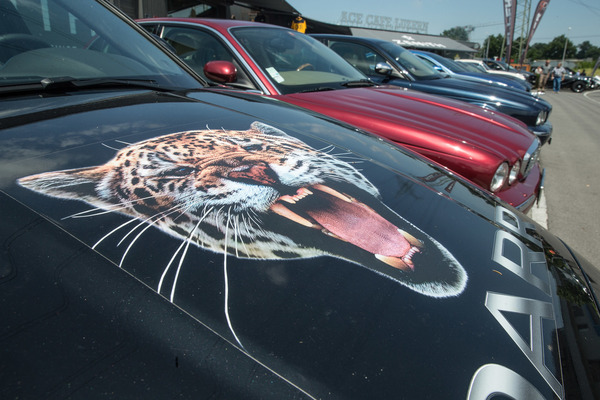 Der Jaguar brüllt auf dem Jaguar - Jaguar Meet Ace Cafe Juni 2020