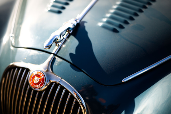 Der Jaguar ist bereit zum Sprung -Goodwood Revival 2018