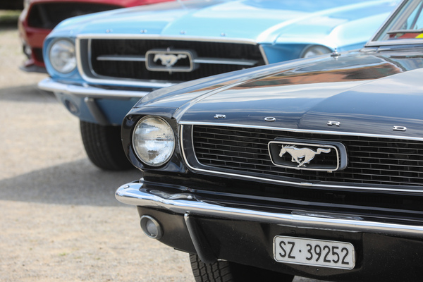 Der Kühlergrill wächst: 1966 vor 1967 - 8. Mustang & Shelby Meeting 2024