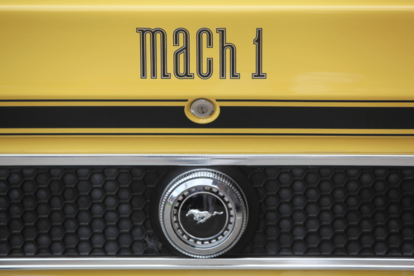 Der Mustang auf dem Heck eines Mach 1 - Mustang & Shelby Meeting 2017 in Zug