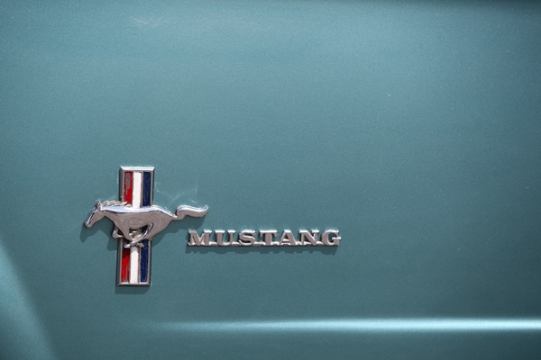 Der Mustang auf der Flanke - Mustang & Shelby Meeting 2017 in Zug