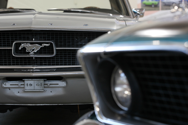 Der Mustang im Kühlergrill - 7. Mustang & Shelby Meeting in Zug am 3. August 2019