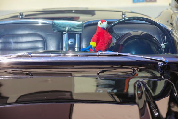 Der Papagei von Glasurit - Older Classics August 2024