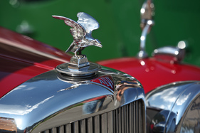 Der Raubvogel auf dem Kühlergrill von Alvis - British Car Meeting in Mollis am 28. August 2016