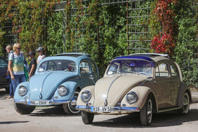 Der VW Käfer macht immer eine gute Falle, vor allem, wenn er gleich im Rudel kommt - 19. ASC Classic-Gala Schwetzingen 2023 Der VW Käfer macht immer eine gute Falle, vor allem, wenn er gleich im Rudel kommt - 19. ASC Classic-Gala Schwetzingen 2023