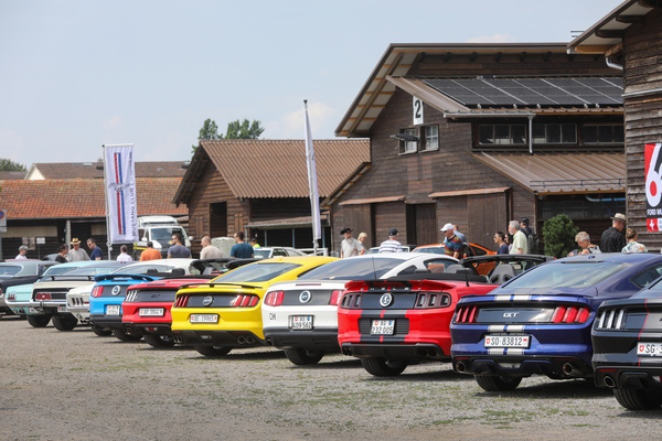 Der Variantenreichtum unter den neuen Mustangs ist mindestens so gross wie unter den alten - 8. Mustang & Shelby Meeting 2024